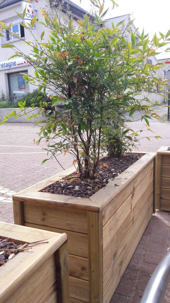 pot de fleur en bois